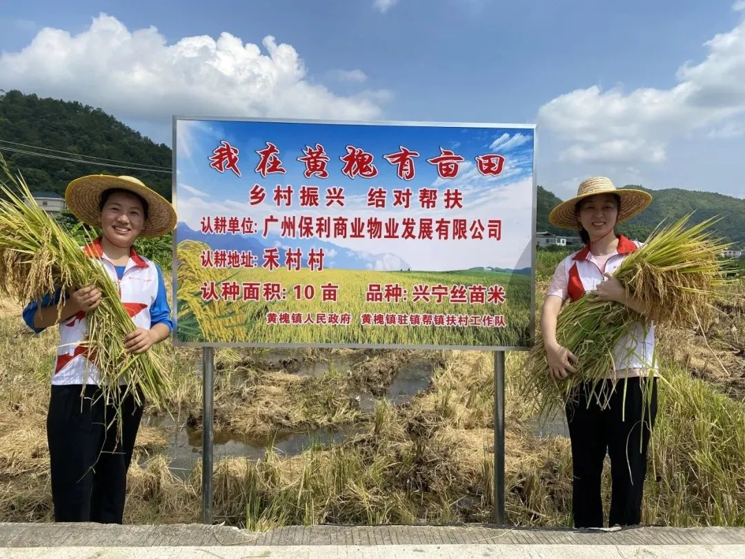 湖南保安服務(wù),墻外高空清洗服務(wù),湖南保利天創(chuàng)物業(yè)發(fā)展有限公司